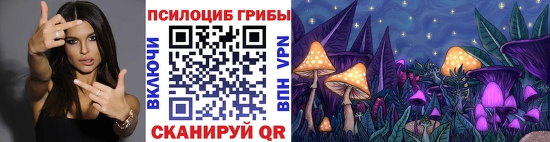 Галлюциногенные грибы Psilocybe  мега ONION  Большой Камень 